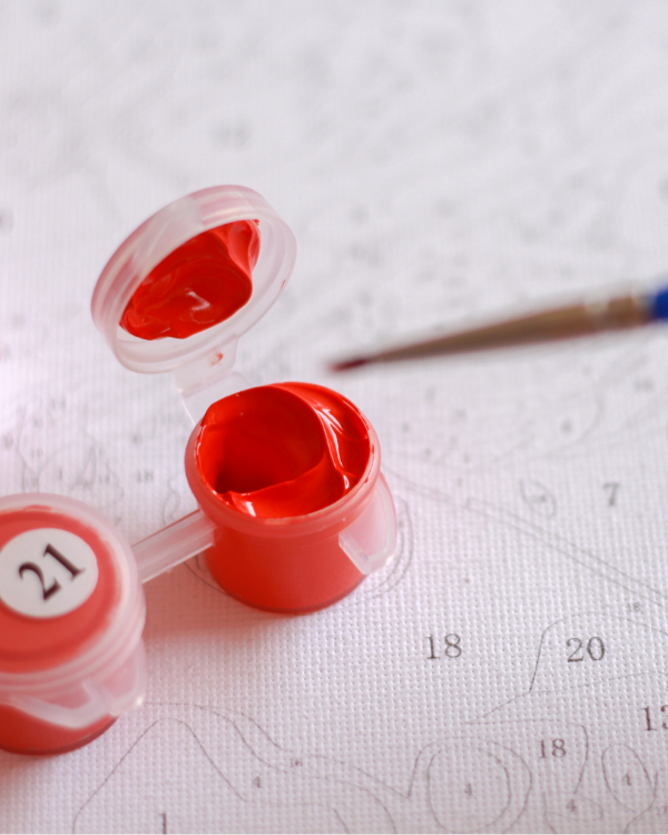 Kişiye Özel Tuval Sayılarla Boyama Seti (Tuvalde Gerili)