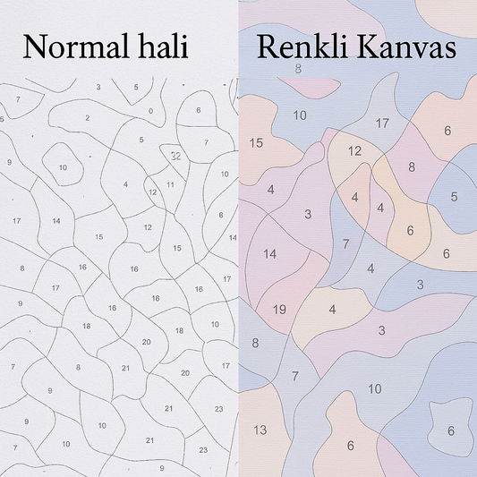 Renkli Kanvas  sayılarla boyama seti ürün görseli