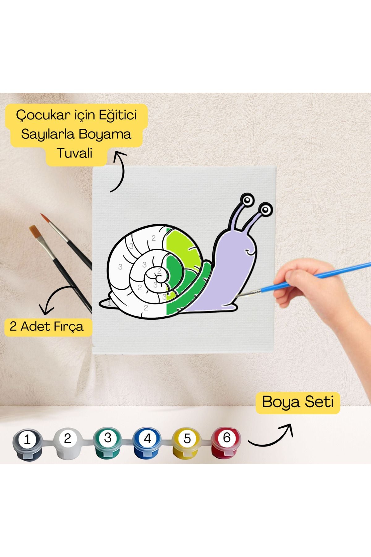 Çocuklar İçin Eğitici Sayılarla Boyama Seti Salyangoz–20x20 Tuval,Boya&Fırça,Sanat ve Zeka,Şovalesiz 20X20 çocuklar için sayılarla boyama seti ürün görseli